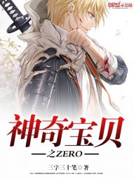 神奇宝贝之ZERO