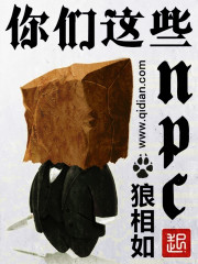 你们这些NPC